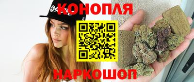 мет Кингисепп