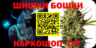 мет Кингисепп