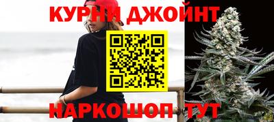 гидра Кинель