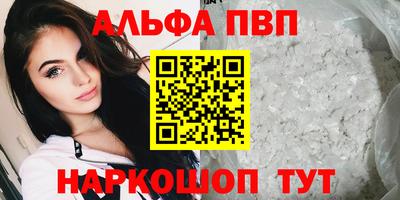 мет Кингисепп