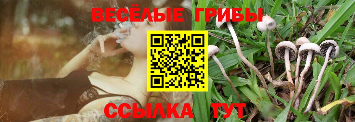 Псилоцибиновые грибы прущие грибы  Вход с VPN  Кунгур 